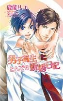 【クリックで詳細表示】【小説】男子高生とんでも新婚日記