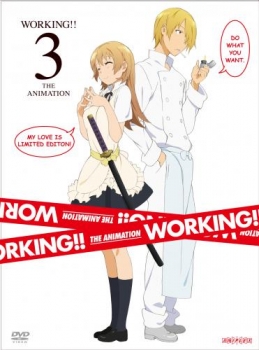 【クリックで詳細表示】【DVD】TV WORKING！！ 3 完全生産限定版