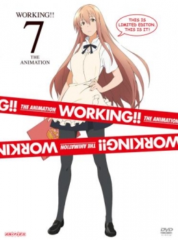 【クリックで詳細表示】【DVD】TV WORKING！！ 7 完全生産限定版