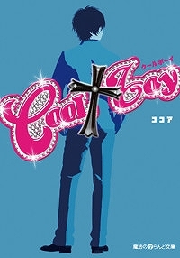 【クリックでお店のこの商品のページへ】【小説】COOL†boy