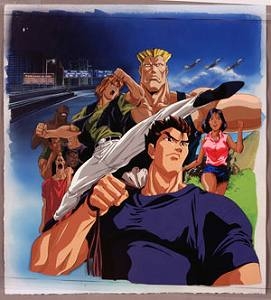 【クリックでお店のこの商品のページへ】【DVD】TV ストリートファイターII V DVD BOX