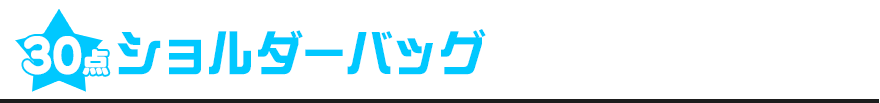 30点：ショルダーバッグ