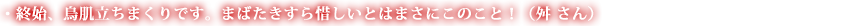 終始、鳥肌立ちまくりです。まばたきすら惜しいとはまさにこのこと！（舛 さん）